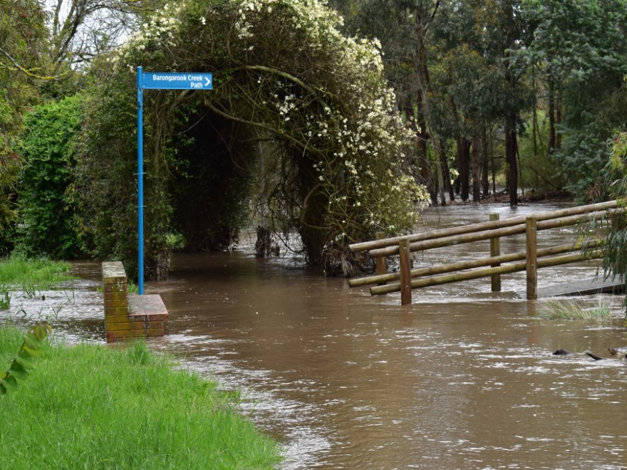 Large sections along Barongarook Creek were innundated throughout September