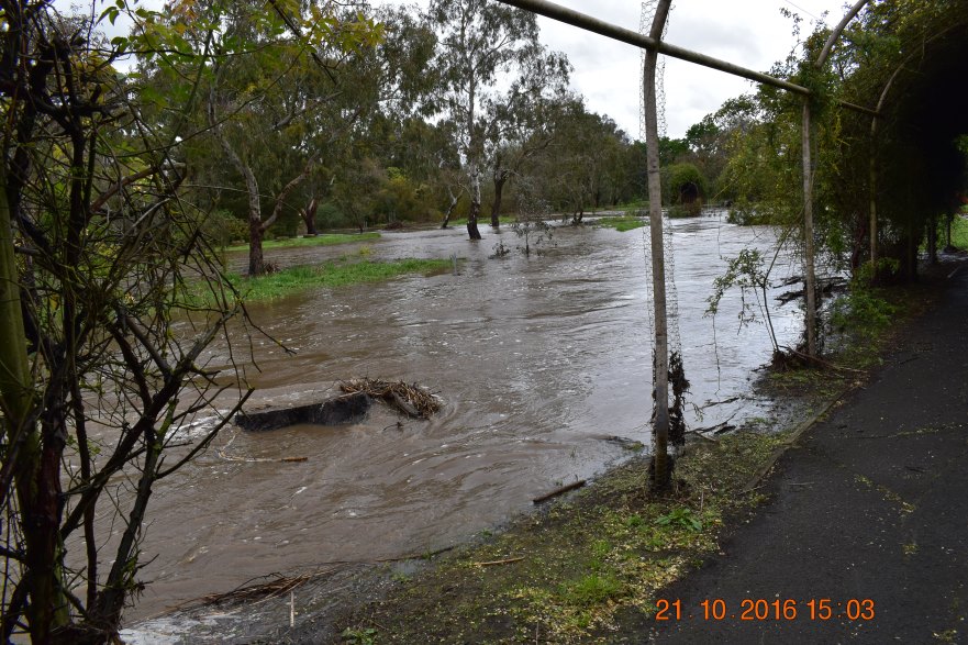 View of the Flooding Creek from a Rose Arbour near Colac Botanic Gardens