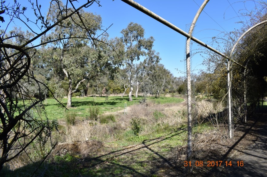 View of the Flooding Creek from a Rose Arbour near Colac Botanic Gardens