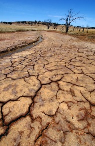 Dry Creek Bed in the Barwon South West