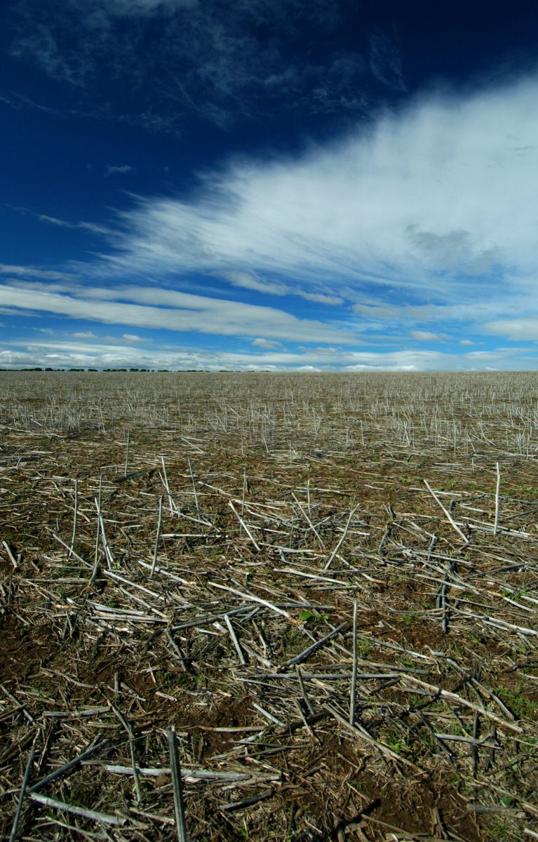 Dry Plain in the Barwon South West