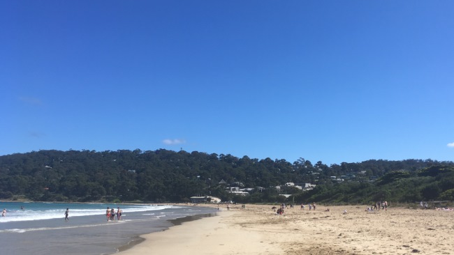 View from Lorne Beach in Direction of Wye River, November 2017