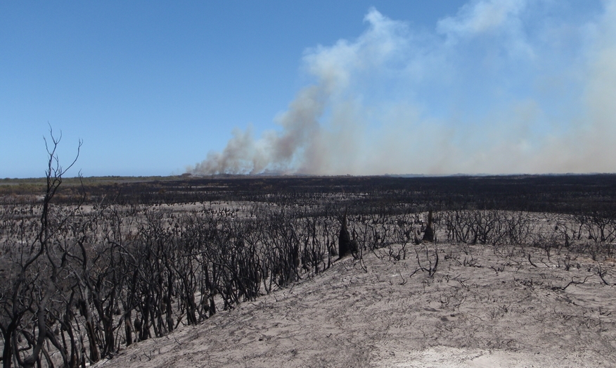 Wildfire in Kenbruck in 2013